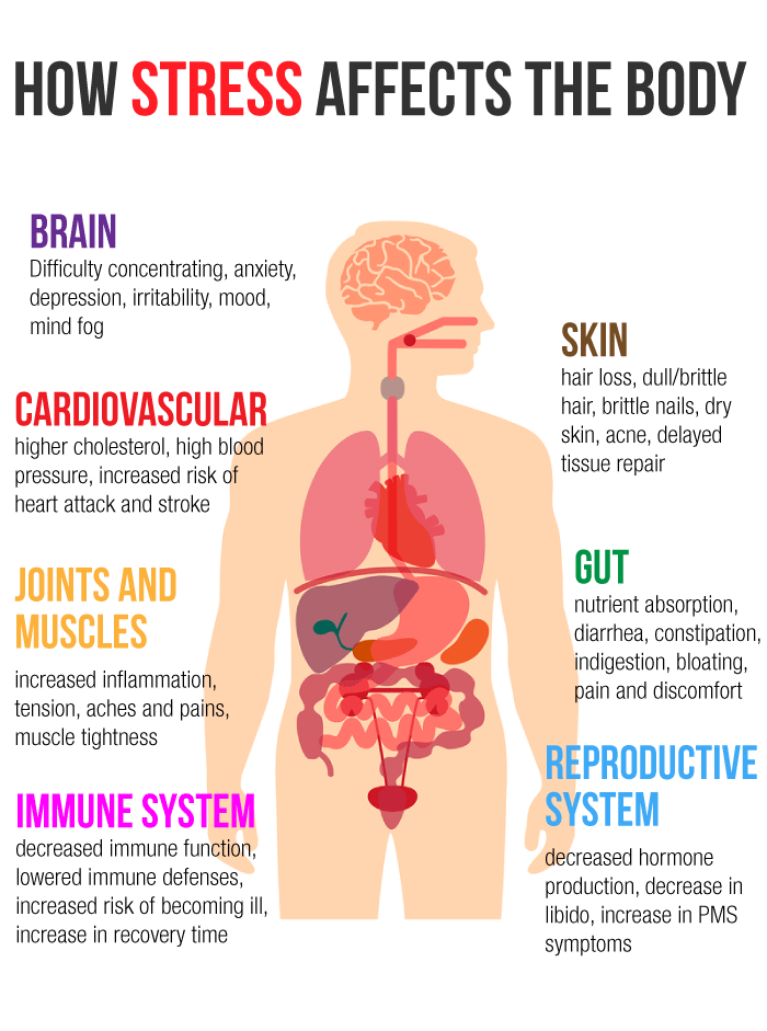 stress-affects