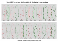 Healing via Frequencies? - A Custom Program for your Spooky2 / Rife Generator