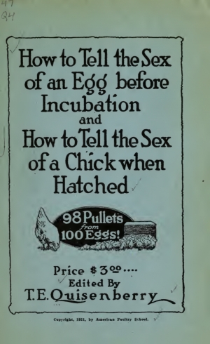 How to tell the sex of eggs and recently hatched chicks
