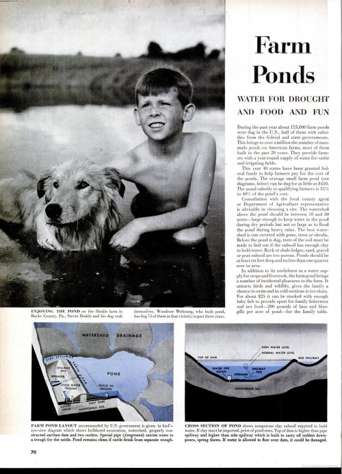 How our grandparents did it: farm ponds in 1950&#039;s America