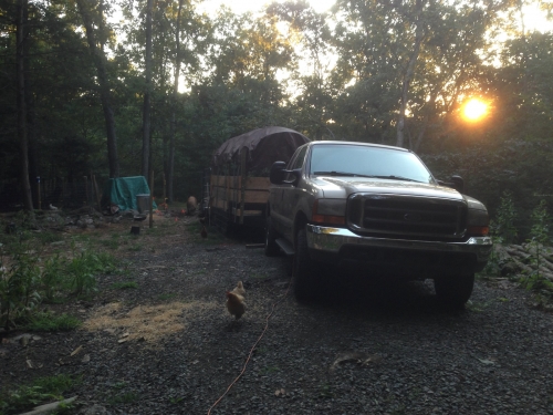 Homemade Livestock Hauler Trailer