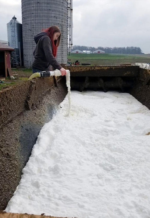 Farmers forced to dump milk while stores limit consumer purchases