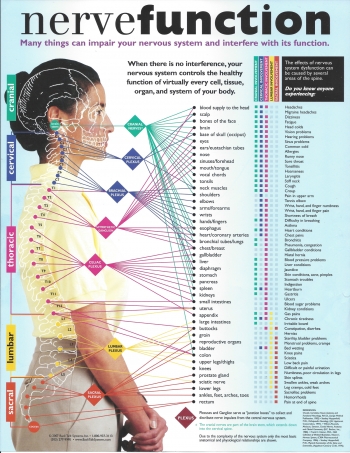 This graphic is available as a PDF - scroll down to the Attachments section to grab it.