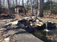 When it's not frozen solid, the chickens drink off of our pond's waterfall.