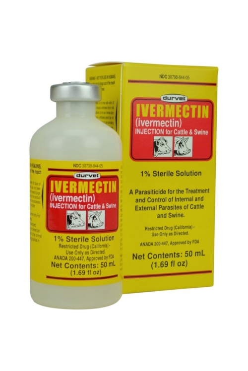 Using Ivermectin to Treat Internal Parasites in Humans