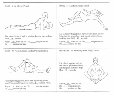 Stretches and Exercises to Help Relieve Lower Back Pain