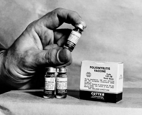 The tainted polio vaccine that sickened and fatally paralyzed children in 1955