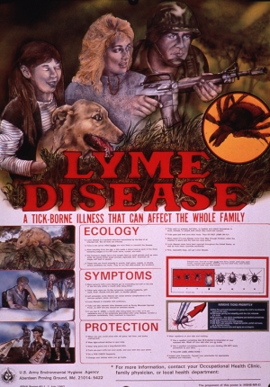 Supplements for Lyme Disease Treatment in Dogs