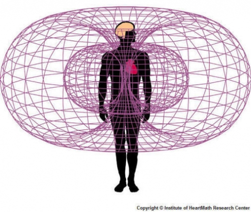 How to Check your Electromagnetic Polarity