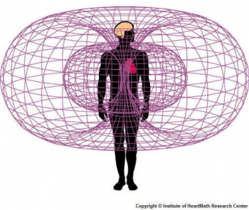 How to Check your Electromagnetic Polarity