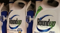 Monsanto accused of ‘fraud &amp; bullying’ during court hearing on ‘probably carcinogenic’ weed killer