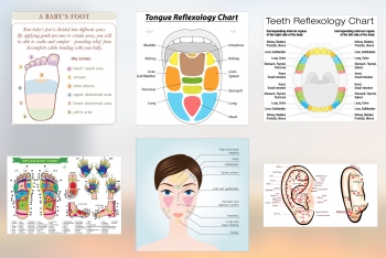 Reflexology Charts (Combined)